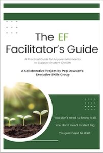 EF Facilitators Guide Cover