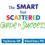 Smart but Scattered Guide to Success Audio Book